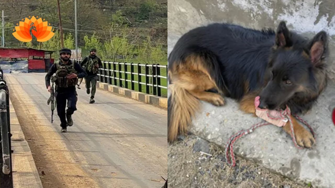 3 Terrorists Killed in Kishtwar Encounter